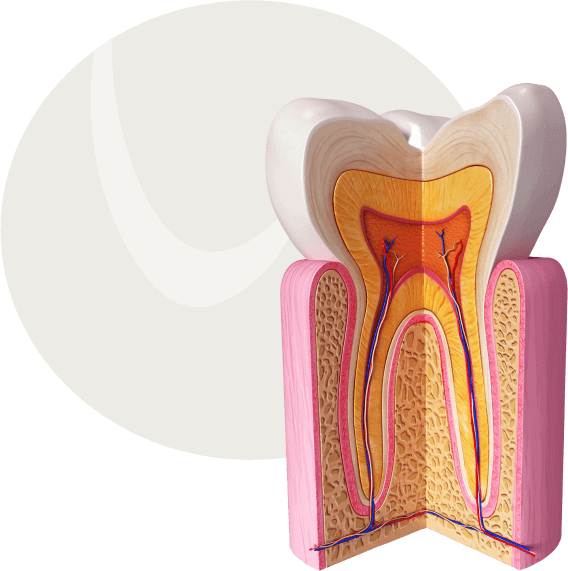 Wurzelbehandlung damit der Zahn wieder einsetzbar ist