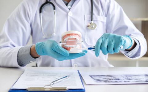 Zahnarzt, der ein Kiefermodell der Zähne in der Hand hält und die Zähne mit einer Zahnbürste reinigt
