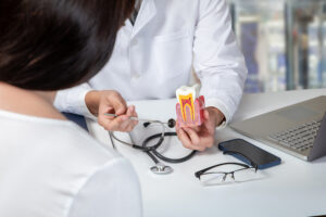 Zahnarzt erklärt Patientin die Anatomie eines Zahns anhand eines Zahnmodells